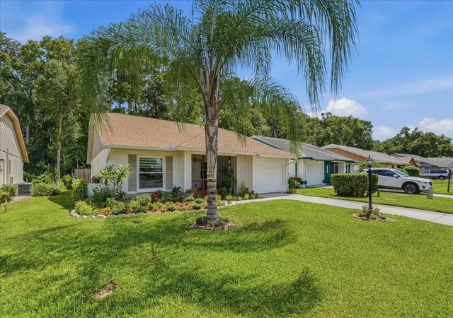 Photo 3 of Single family home for sale at 11602 White Ash Dr, New Port Richey, FL 34654 | MLS# TB8535279 | Listing updated on 2026-10-20