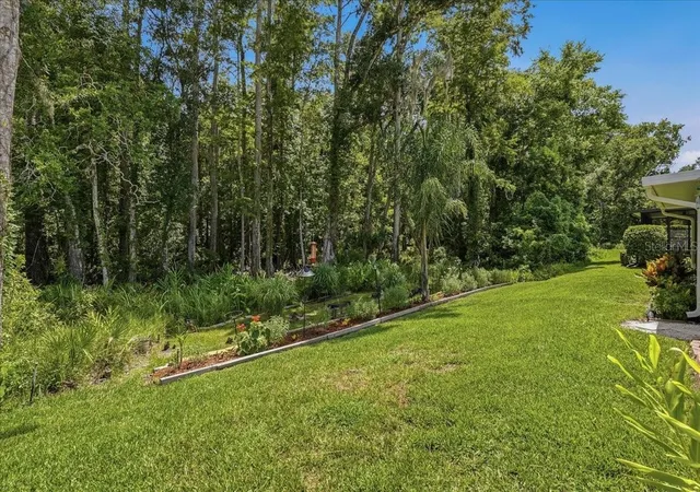 Photo 4 of Single family home for sale at 11602 White Ash Dr, New Port Richey, FL 34654 | MLS# TB8535279 | Listing updated on 2026-10-20