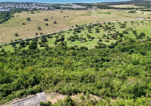 Photo 1 of Land for sale at Bo Algarrobo, Guayama, PR 00784 | MLS# PR9123151 | Listing updated on 2026-10-19