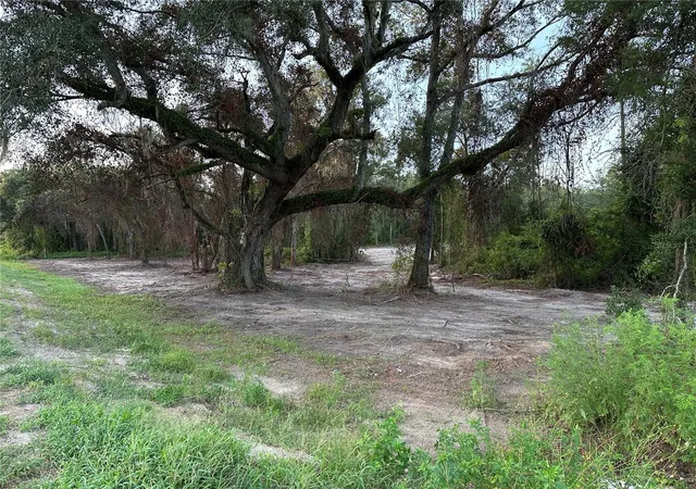 Photo 3 of Land for sale at Cr 49, Live Oak, FL 32060 | MLS# A4701894 | Listing updated on 2026-08-11