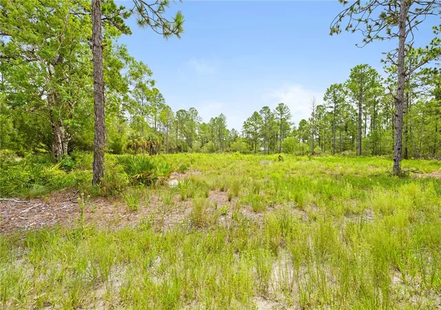 1st image of 10052 Yellowbird Ave, Brooksville, FL 34614 | MLS# TB8535317