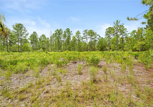 2nd image of 10052 Yellowbird Ave, Brooksville, FL 34614 | MLS# TB8535317