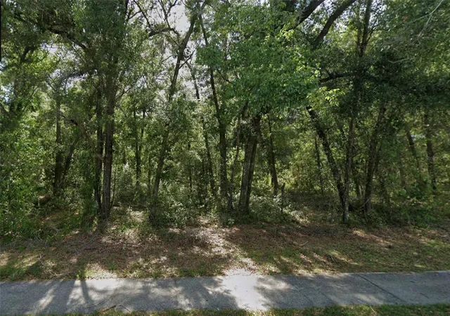 Photo 1 of Land for sale at Church, Lake Helen, FL 32744 | MLS# V4950523 | Listing updated on 2026-09-17