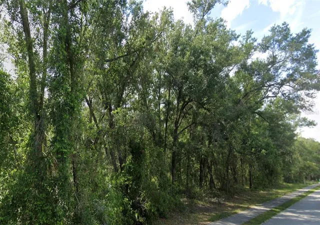 Photo 3 of Land for sale at Church, Lake Helen, FL 32744 | MLS# V4950523 | Listing updated on 2026-09-17