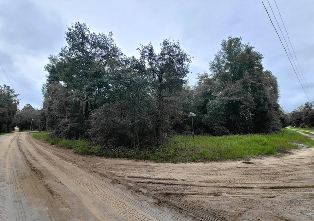 Photo 1 of Land for sale at Tbd Ne 81st Terrace Dr, Bronson, FL 32621 | MLS# OM729671 | Listing updated on 2026-08-04