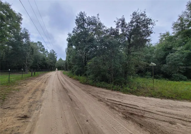Photo 2 of Land for sale at Tbd Ne 81st Terrace Dr, Bronson, FL 32621 | MLS# OM729671 | Listing updated on 2026-08-04