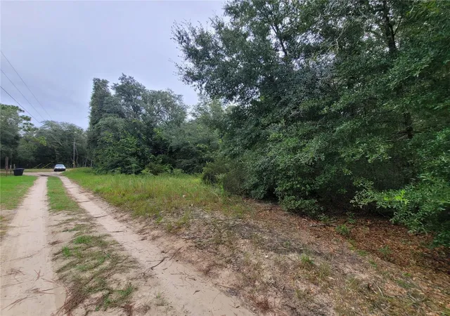 Photo 3 of Land for sale at Tbd NE 81st Terrace Dr, Bronson, FL 32621 | MLS# OM729671 | Listing updated on 2026-08-04
