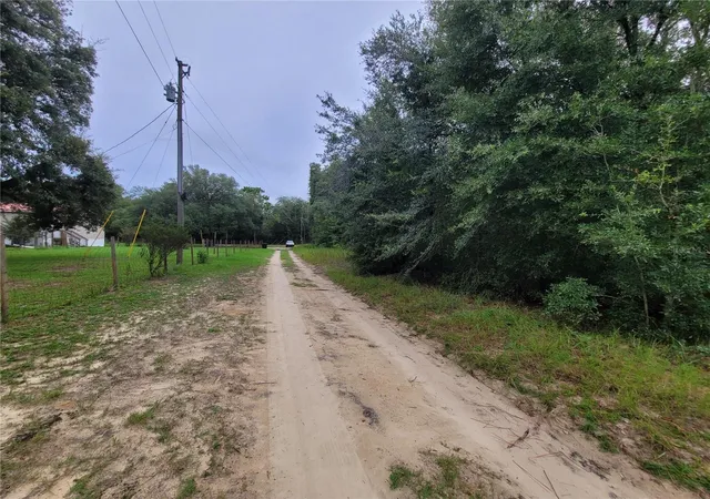 Photo 4 of Land for sale at Tbd NE 81st Terrace Dr, Bronson, FL 32621 | MLS# OM729671 | Listing updated on 2026-08-04