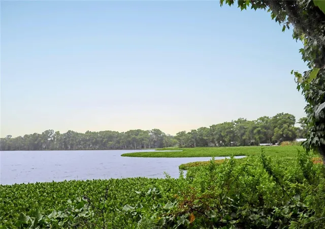 4th image of 303 W Lake Mary Blvd, Sanford, FL 32773 | MLS# O6430265
