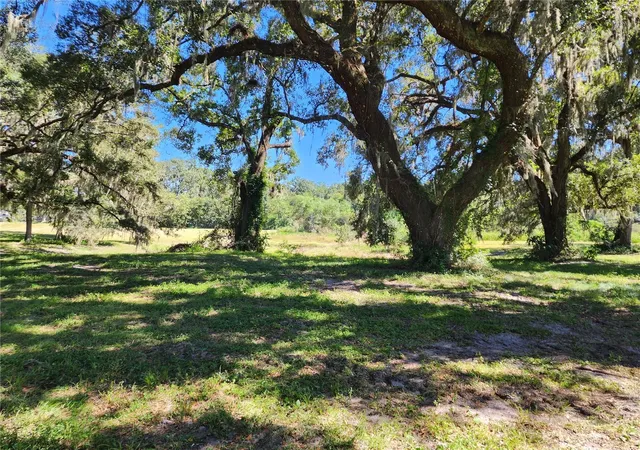 1st image of 7670 Nw 137th Ave, Morriston, FL 32668 | MLS# O6430267