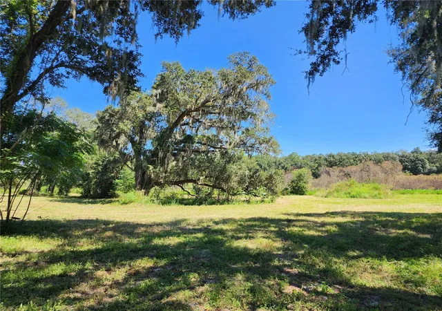 Photo 3 of Land for sale at 7670 Nw 137th Avenue, Morriston, FL 32668 | MLS# O6430267 | Listing updated on 2026-09-03