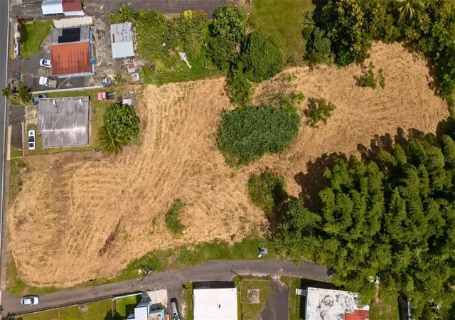 Photo 3 of Land for sale at Bo Ceiba Norte 28 Com Santana, Juncos, PR 00777 | MLS# PR9123160 | Listing updated on 2026-08-25