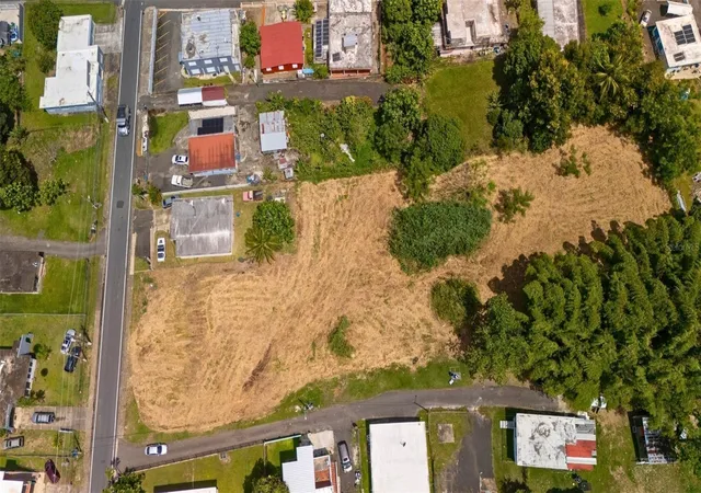 Photo 4 of Land for sale at Bo Ceiba Norte 28 Com Santana, Juncos, PR 00777 | MLS# PR9123160 | Listing updated on 2026-08-25