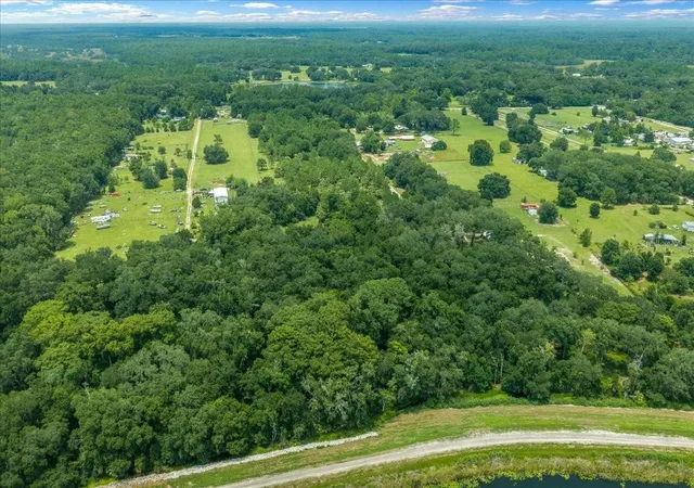 Photo 3 of Land for sale at Tbd Southeast 95th St Rd, Ocklawaha, FL 32179 | MLS# OM729678 | Listing updated on 2026-08-07