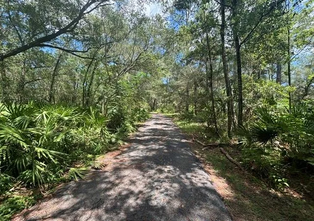 2nd image of 6594 N Gold Leaf Pt, Dunnellon, FL 34433 | MLS# OM729686