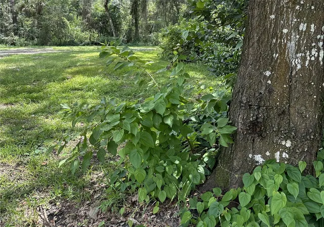 Photo 2 of Land for sale at 7303 Se 7th Place, Gainesville, FL 32641 | MLS# GC542446 | Listing updated on 2026-09-04