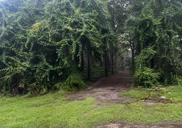 1st image of Tbd Nw 167th Pl, Trenton, FL 32693 | MLS# GC542451