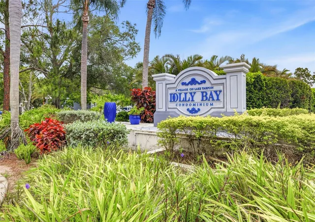 36th image of 2533 Dolly Bay Dr #105, Palm Harbor, FL 34684 | MLS# TB8535495