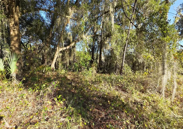2nd image of 3009 Parma Dr, Deltona, FL 32738 | MLS# O6430463
