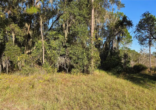 3rd image of 3009 Parma Dr, Deltona, FL 32738 | MLS# O6430463