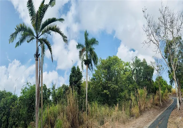 Photo 1 of Land for sale at 857 Route, Carolina, PR 00987 | MLS# PR9123173 | Listing updated on 2026-08-09