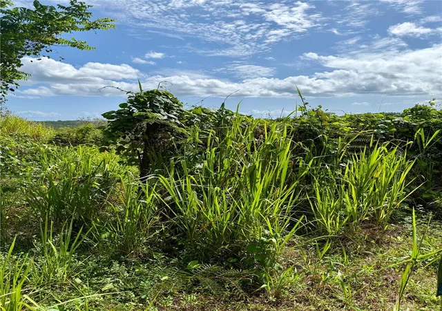 Photo 31 of Land for sale at 857 Route, Carolina, PR 00987 | MLS# PR9123173 | Listing updated on 2026-08-09