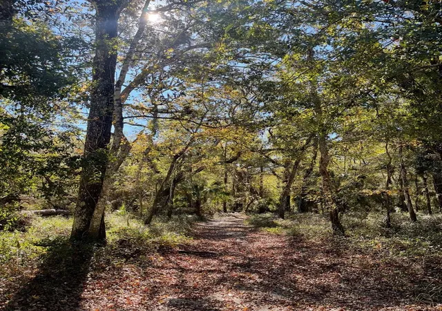 1st image of Tumbleweed Trl, Brooksville, FL 34604 | MLS# TB8535610
