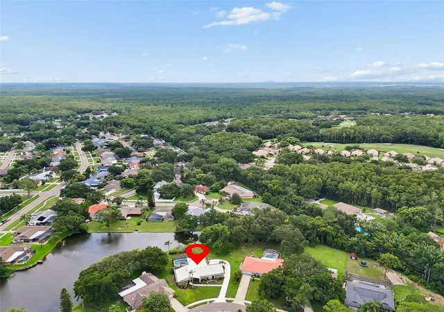 40th image of 2364 Violet Pl, Palm Harbor, FL 34685 | MLS# TB8535642