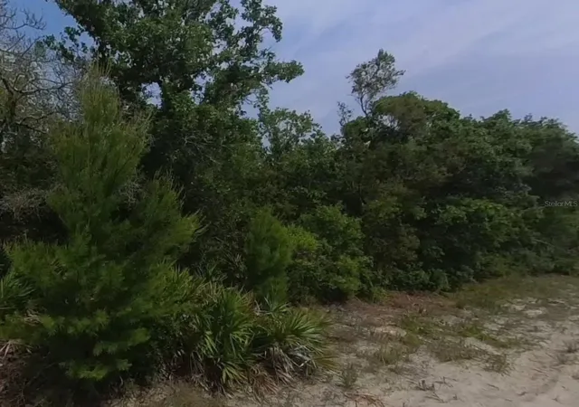 Photo 3 of Land for sale at 0 Riegel (paper) Ave, Orange City, FL 32763 | MLS# S5154987 | Listing updated on 2026-08-05