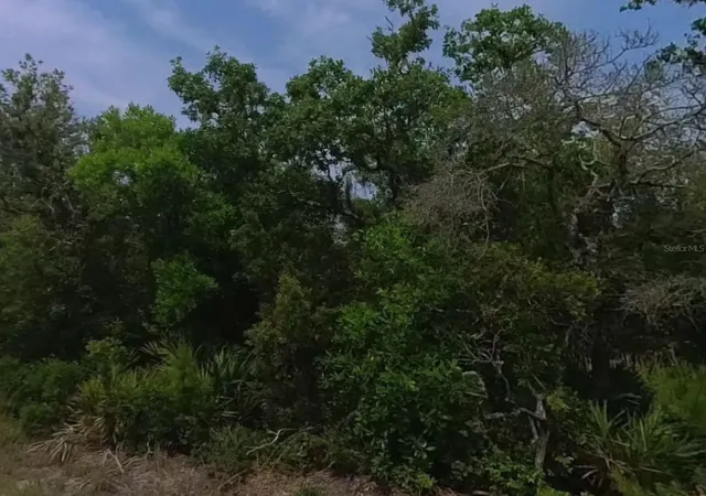 Photo 3 of Land for sale at 0 Riegel (paper) Ave, Orange City, FL 32763 | MLS# S5154987 | Listing updated on 2026-08-05