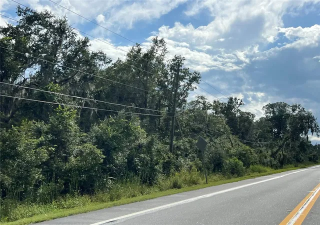 Photo 3 of Land for sale at County Road 48, Yalaha, FL 34797 | MLS# G5116034 | Listing updated on 2026-10-08