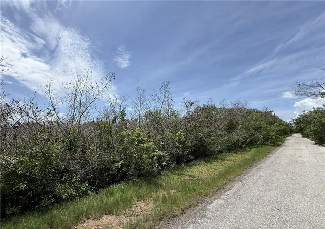 4th image of 5997 Kracker Ave, Gibsonton, FL 33534 | MLS# TB8535703