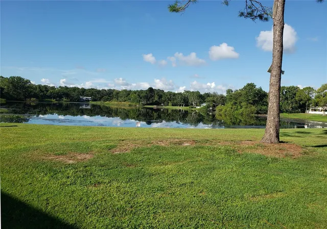 28th image of 22726 Gage Loop #41, Land O Lakes, FL 34639 | MLS# TB8535707