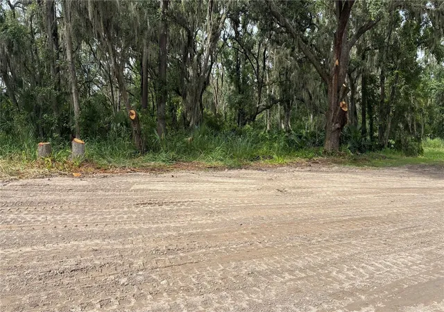 Photo 3 of Land for sale at 0 E Cherry St, Plant City, FL 33563 | MLS# TB8535745 | Listing updated on 2026-09-02