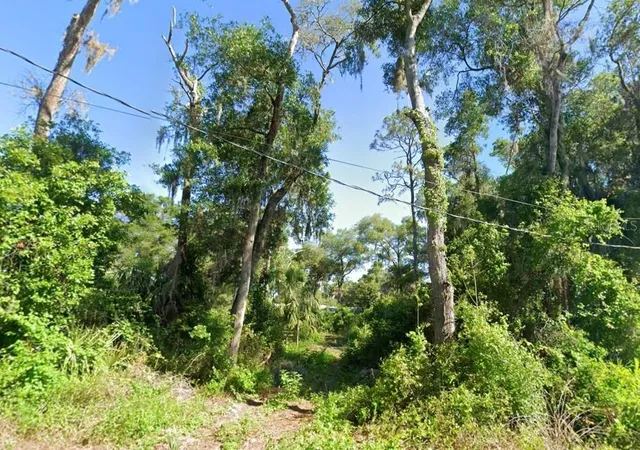 Photo 2 of Land for sale at 4523 E Harvard Dr, Hernando, FL 34442 | MLS# TB8535776 | Listing updated on 2026-09-28