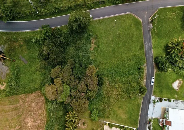 Photo 1 of Land for sale at Bo Ceiba Sur Brisas Del Pedregal Solar #1, Juncos, PR 00777 | MLS# PR9123184 | Listing updated on 2026-08-25