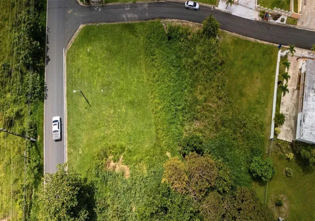 Photo 3 of Land for sale at Bo Ceiba Sur Brisas Del Pedregal Solar #1, Juncos, PR 00777 | MLS# PR9123184 | Listing updated on 2026-08-25