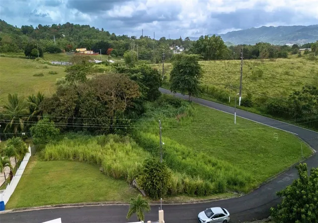 Photo 10 of Land for sale at Bo Ceiba Sur Brisas Del Pedregal Solar #1, Juncos, PR 00777 | MLS# PR9123184 | Listing updated on 2026-08-25