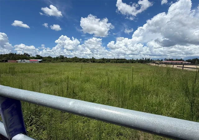 1st image of 14182 Haynes Rd, Dover, FL 33527 | MLS# TB8535833
