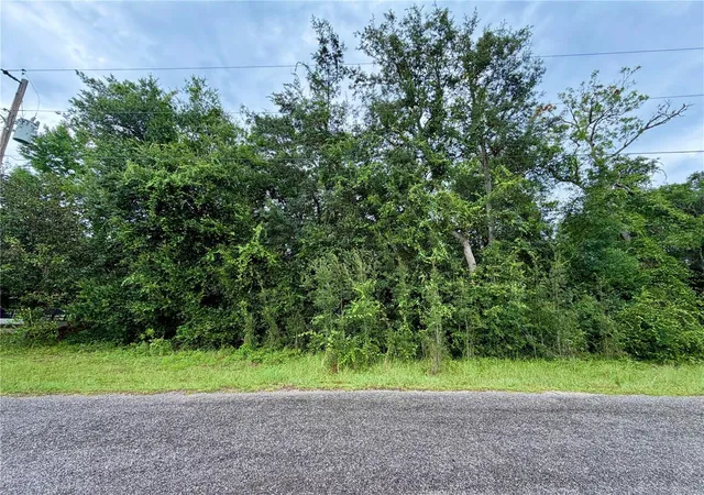 Photo 1 of Land for sale at 0 Southeast 175th Ter Rd, Silver Springs, FL 34488 | MLS# OM729749 | Listing updated on 2026-08-05
