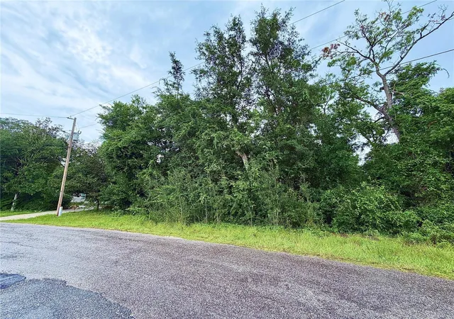Photo 2 of Land for sale at 0 Southeast 175th Ter Rd, Silver Springs, FL 34488 | MLS# OM729749 | Listing updated on 2026-08-05