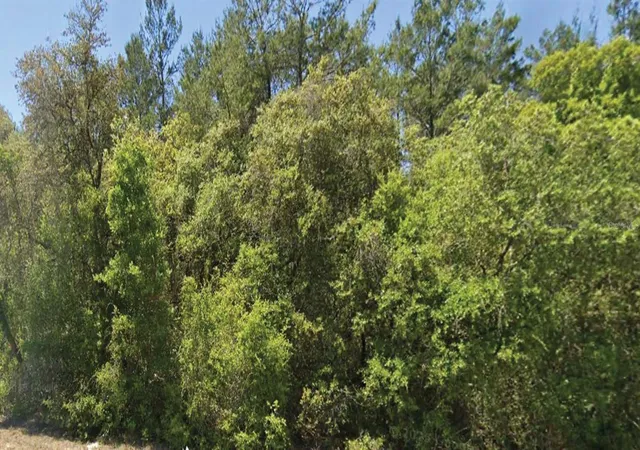 Land for sale at 0 SE 309 Avenue, ALTOONA, FL 32702 | MLS# O6430701