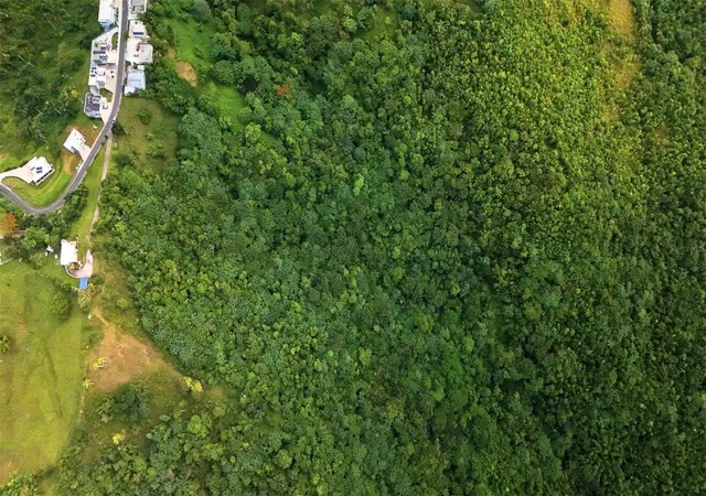 Photo 1 of Land for sale at Bo Pena Pobre Higuerillo Carr 31 Solar #1, Naguabo, PR 00718 | MLS# PR9123195 | Listing updated on 2026-08-25