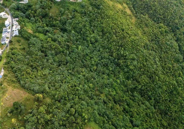 Photo 2 of Land for sale at Bo Pena Pobre Higuerillo Carr 31 Solar #1, Naguabo, PR 00718 | MLS# PR9123195 | Listing updated on 2026-08-25
