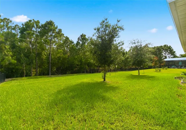 24th image of 2916 Hooded Crane Cvs, Harmony, FL 34773 | MLS# S5155019