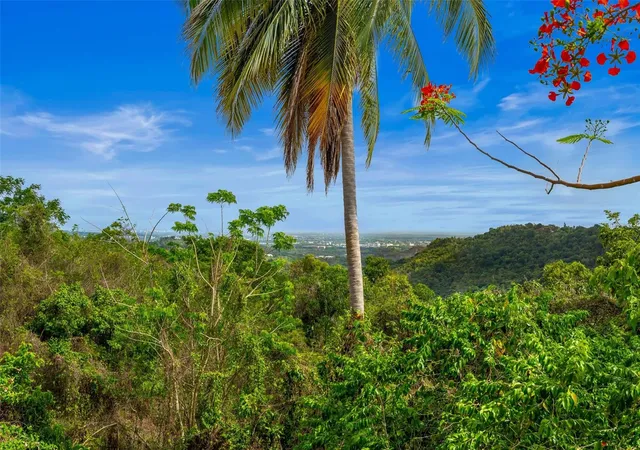 Photo 2 of Sale Pending at Carr 853 Km Hm 62 Hidalgo St, Carolina, PR 00987 | MLS# PR9123200 | Listing updated on 2026-08-20