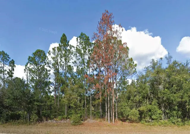 1st image of 508 Palm Ave, Frostproof, FL 33843 | MLS# O6430774