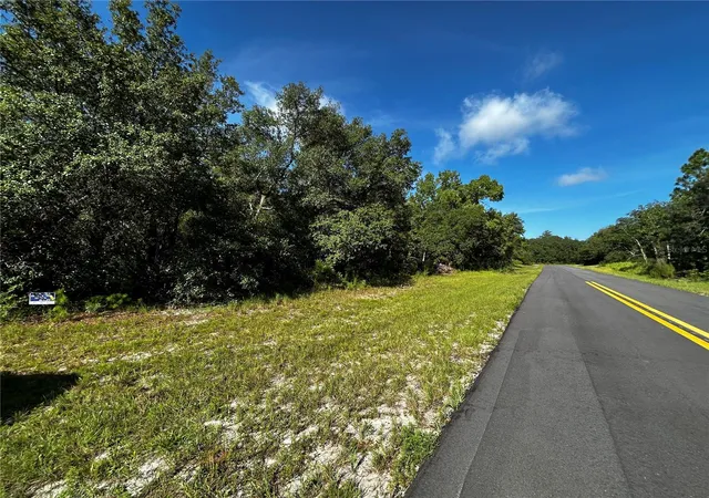 Photo 2 of Land for sale at Sw 148th Place Rd, Ocala, FL 34473 | MLS# A4702089 | Listing updated on 2026-08-06