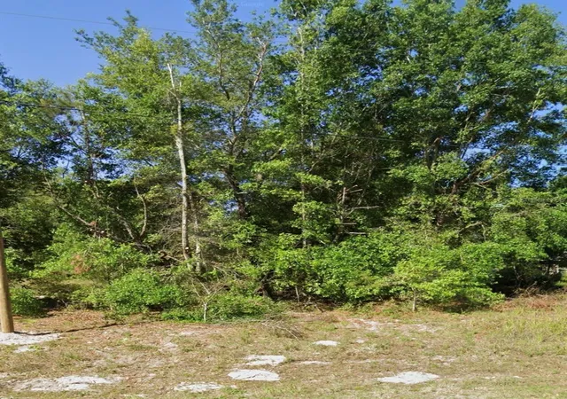 2nd image of Fisher Rd, Ocklawaha, FL 32179 | MLS# OM729763