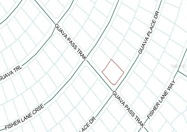 1st image of Guava Pl Dr, Ocklawaha, FL 32179 | MLS# OM729771